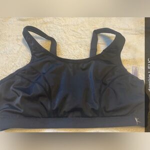 Danskin L Sports
